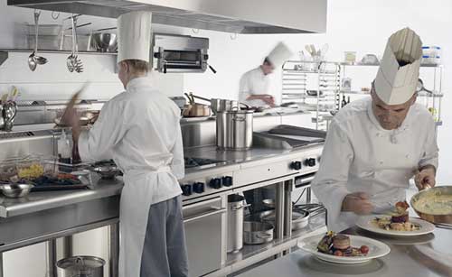 Commercial Pest Control in Chatty