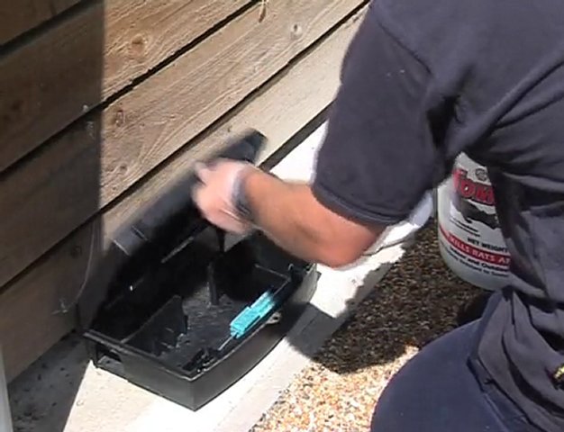 Rodent Control in Algoa park