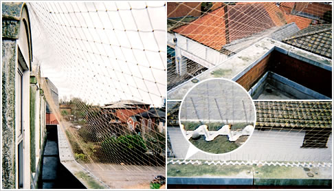 Pigeon Proofing in Cape Town