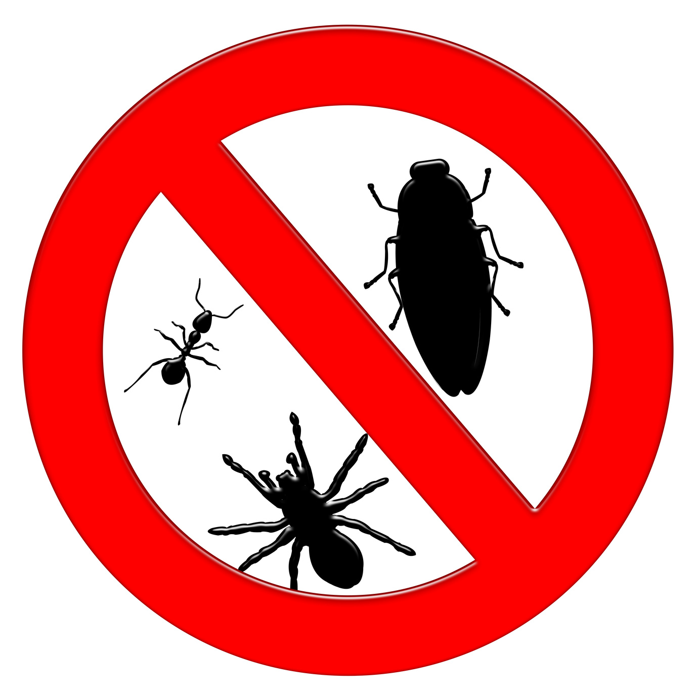 Pest Control in Cape Town
