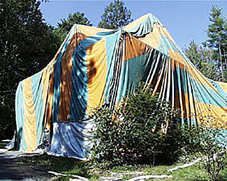 Wood Borer Fumigation in Durban